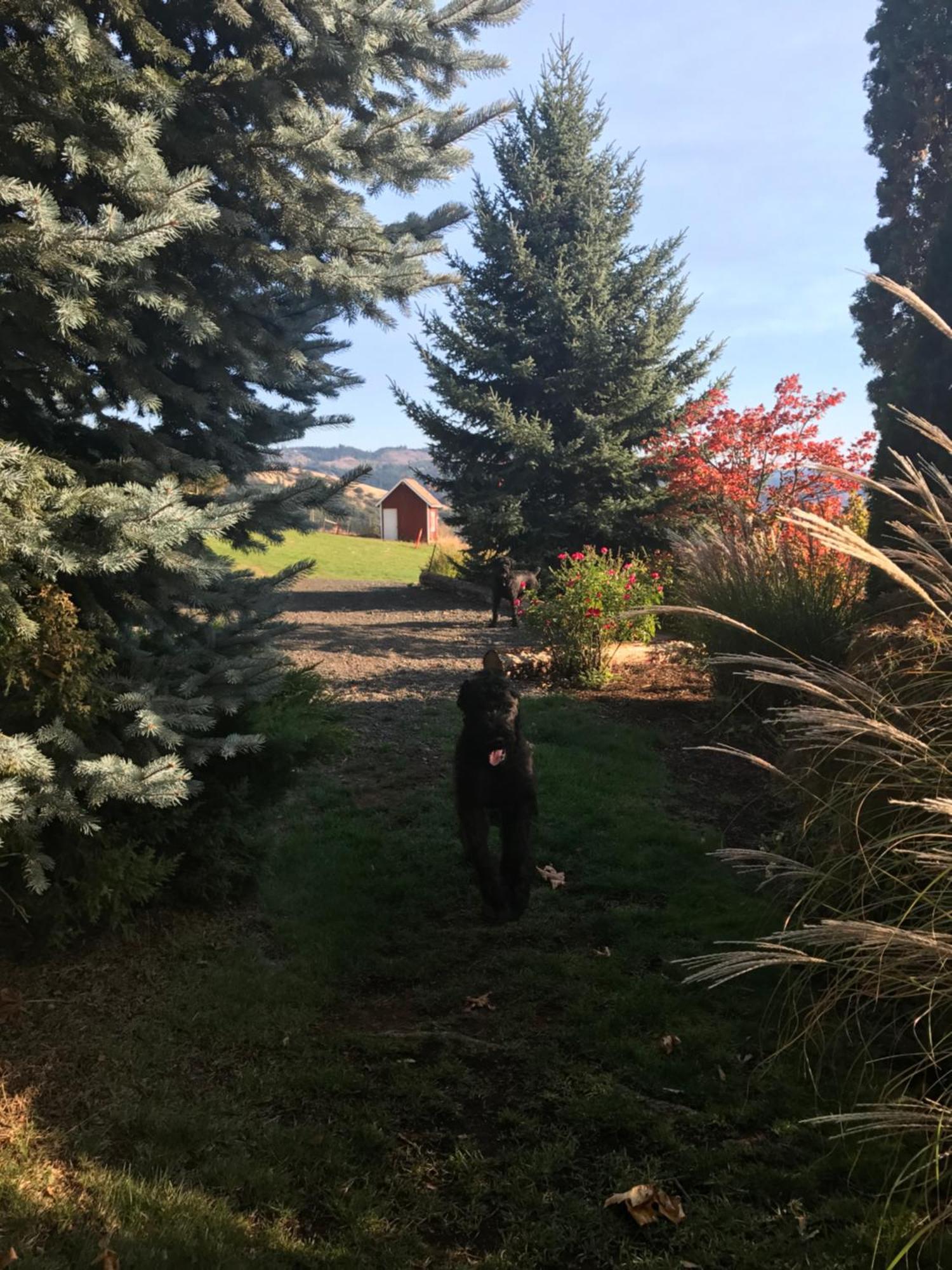 Husum Highlands Bed And Breakfast 外观 照片